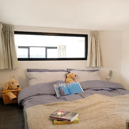 Ferienhaus Cube Elite Mit Meerblick Am Im Europarcs Bad Hoophuizen Hulshorst